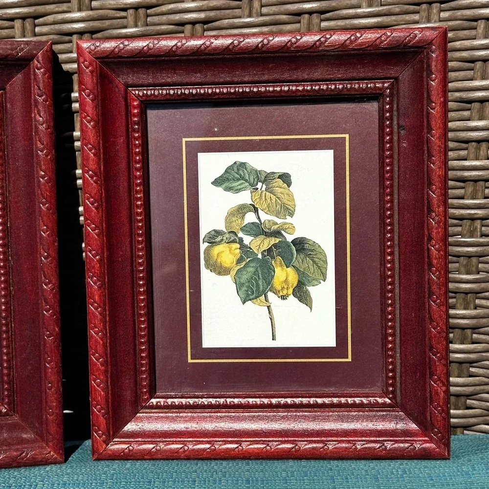 ITALIAN Set of Burgundy Decorative Wood Picture Frames with Botanical Prints 5x6